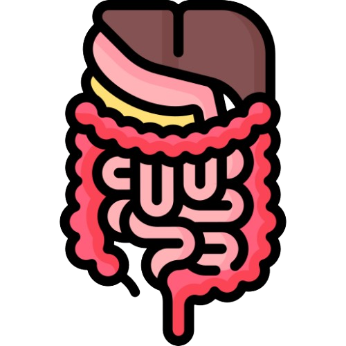 Gastrologie