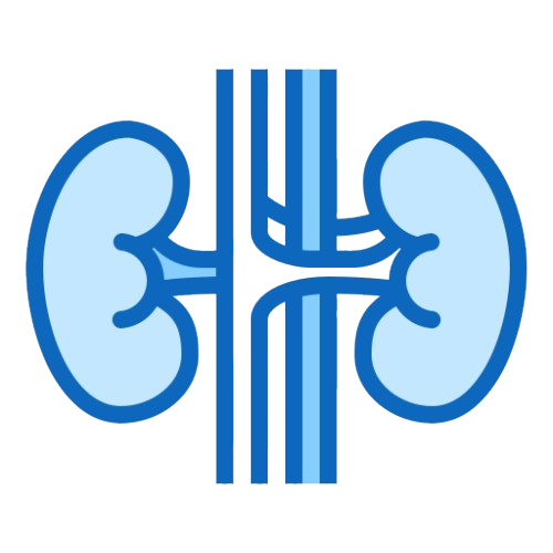 Urologie/Néphrologie